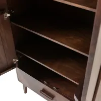 Liya 2-deurs kast mangohout donkerbuin WOOOD